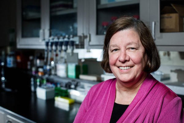 Spotlight: Dr.Nancy Gray UAMS BioVentures Director accelerating ...